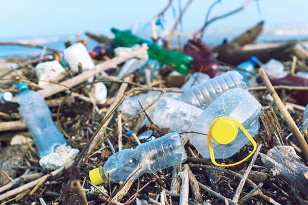 Rác thải nhựa là gì? Ô nhiễm trắng là gì? Tác hại của rác thải nhựa