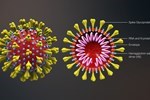Đường dây nóng Bộ Y Tế thông tin về dịch bệnh Virus Corona 19003228