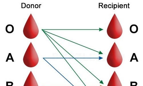 Những điều cần biết về nhóm máu